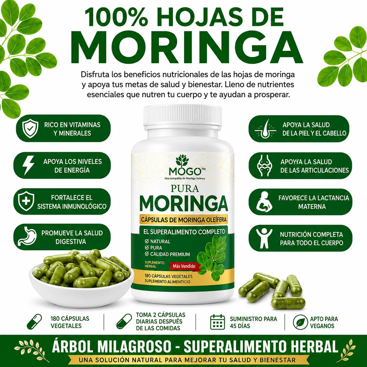 MORINGA ¡Energía y bienestar natural!