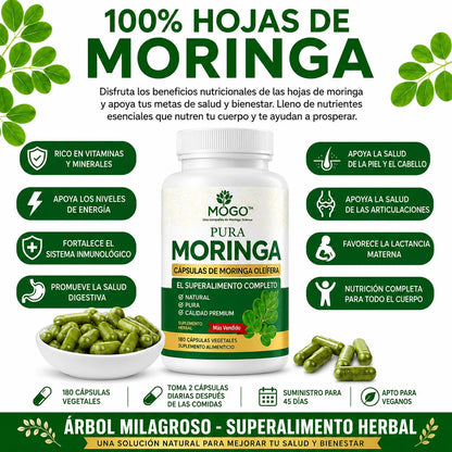 MORINGA ¡Energía y bienestar natural!