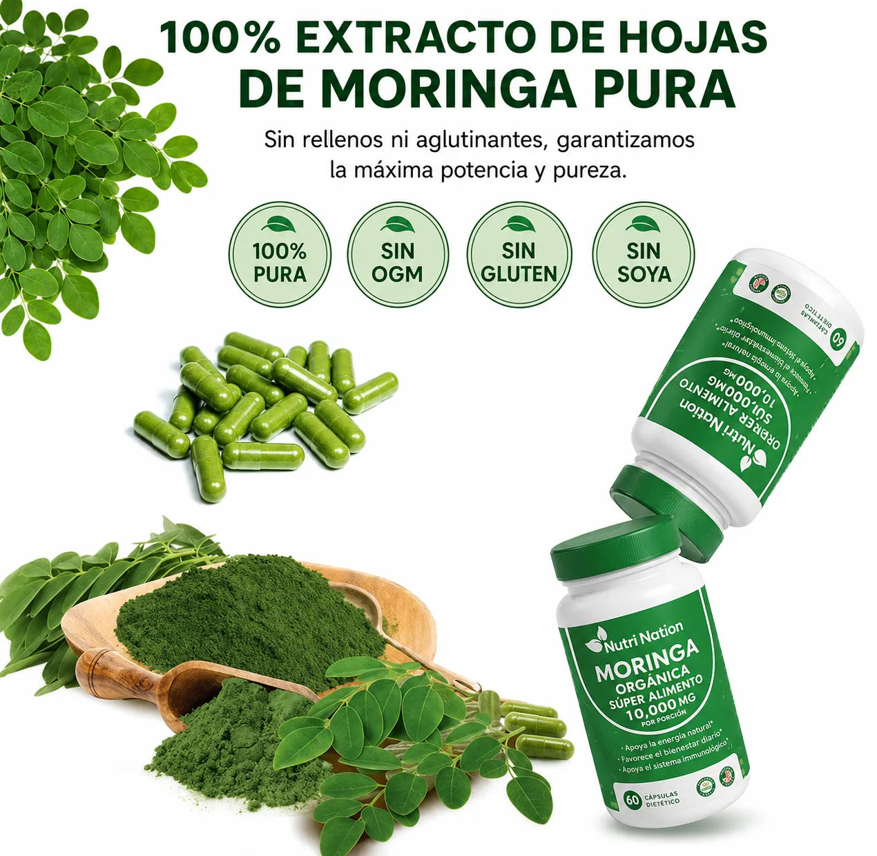 MORINGA ¡Energía y bienestar natural!