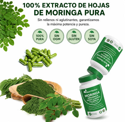 MORINGA ¡Energía y bienestar natural!